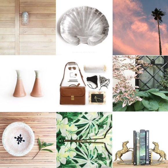 Hi! Welcome to Palmetto Rose! - Picture 5 of 5